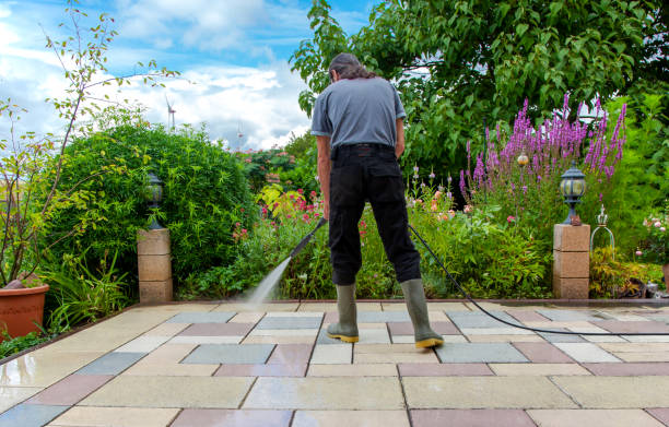 Best Fence Cleaning  in Divernon, IL